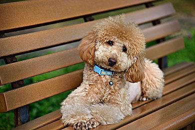 战神总监称《战神5》不会延期 请玩家保持冷静